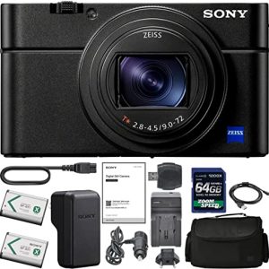 Sony Cyber-Shot DSC-RX100 VI Digital Camera with Sony NP-BX1/M8 Battery, Spare NP-BX1 Battery, 64gb SDXC 1200x Card, Card Reader, Carrying case, AC…