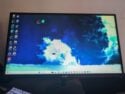 540hz Acer Nitro XV242 Gaming Monitor 24.1" FHD, 0.1ms, FreeSync Premium