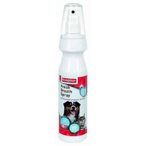 DENTAL Spray for Dogs Beaphar Fresh Breath Spray 150ml Pets ORAL Care
