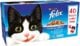 Felix Fish Selection in Jelly Wet Food Pouch, 40 x 100g