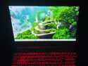 Gaming Leptop Acer Nitro 5 AN515-52 15.6in i5-8300H 8GB 292GB SSD+1TB GTX Win11