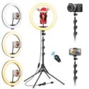 Ring Light with Tripod Stand & Phone Holder Tall, 12.6 inch Selfie Ring Lights