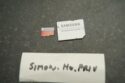 Samsung EVO Plus 128GB microSDXC UHS-I Memory Card - (with SD Adapter)